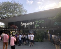 シンガポール動物園